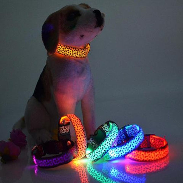 LED Safety Dog Collar – Rechargeable, Adjustable & Night-Safe