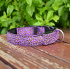 LED Safety Dog Collar – Rechargeable, Adjustable & Night-Safe