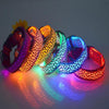 LED Safety Dog Collar – Rechargeable, Adjustable & Night-Safe