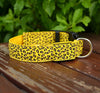 LED Safety Dog Collar – Rechargeable, Adjustable & Night-Safe