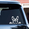 Reflective Dog Car Window Decal