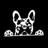 Reflective Dog Car Window Decal
