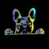 Reflective Dog Car Window Decal