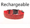 LED Safety Dog Collar – Rechargeable, Adjustable & Night-Safe