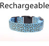 LED Safety Dog Collar – Rechargeable, Adjustable & Night-Safe