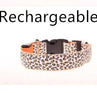 LED Safety Dog Collar – Rechargeable, Adjustable & Night-Safe