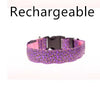 LED Safety Dog Collar – Rechargeable, Adjustable & Night-Safe