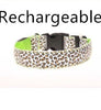 LED Safety Dog Collar – Rechargeable, Adjustable & Night-Safe