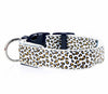 LED Safety Dog Collar – Rechargeable, Adjustable & Night-Safe