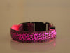 LED Safety Dog Collar – Rechargeable, Adjustable & Night-Safe