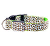 LED Safety Dog Collar – Rechargeable, Adjustable & Night-Safe