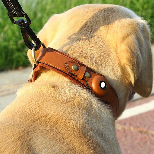 Leather GPS Tracker Dog Collar – Secure, Stylish & Smart