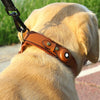 Leather GPS Tracker Dog Collar – Secure, Stylish & Smart