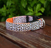 LED Safety Dog Collar – Rechargeable, Adjustable & Night-Safe